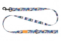 RC Pets - Dog - Eco Leash Mystic Monstera