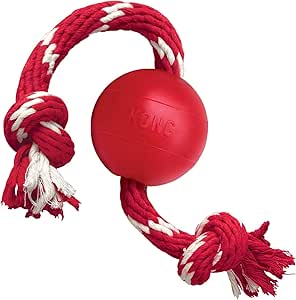 KONG - Dog - Squeaker Ball with Rope