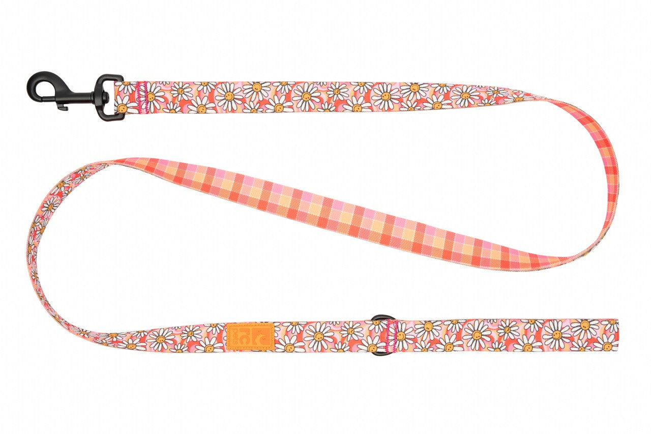 RC Pets - Dog - Eco Leash Daisy Joy