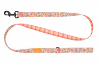 RC Pets - Dog - Eco Leash Daisy Joy