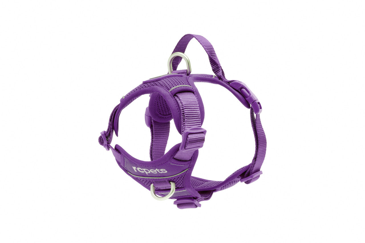 RC Pets - Dog - Momentum Harness Purple
