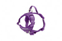 RC Pets - Dog - Momentum Harness Purple