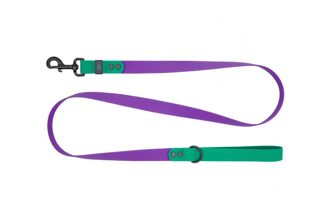 RC Pets - Dog - Waterproof Leash Purple/Parakeet
