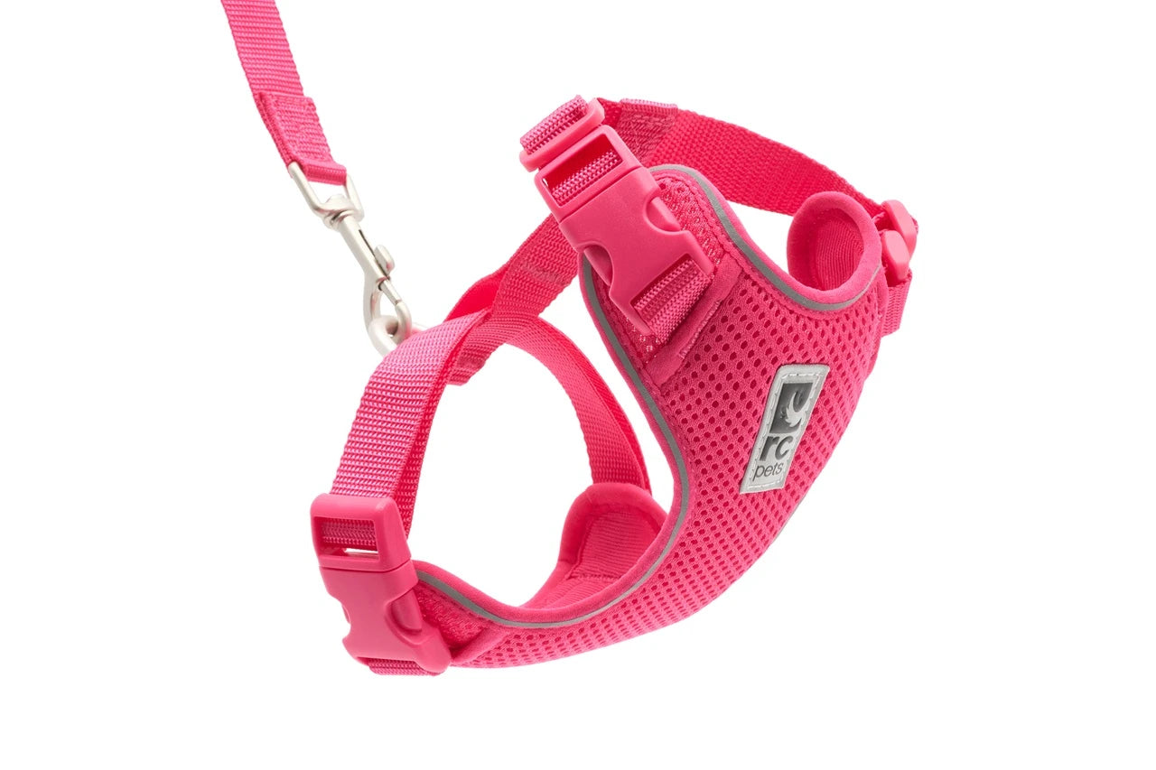 RC Pets - Cat - Adventure Kitty Harness Azalea