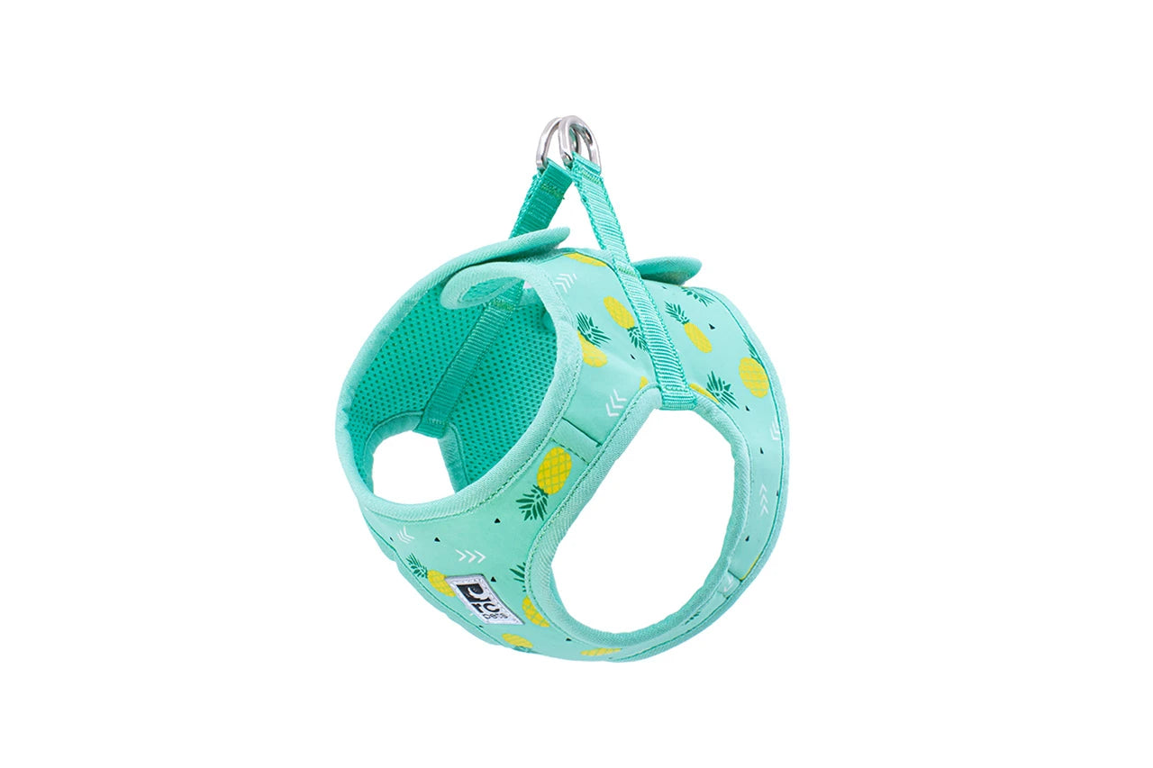 RC Pets - Dog - Step In Cirque Harness Pineapple Parade