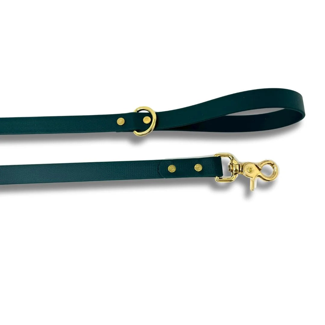 Rocky Mountain Dog - Dog - Biothane Leash Kale