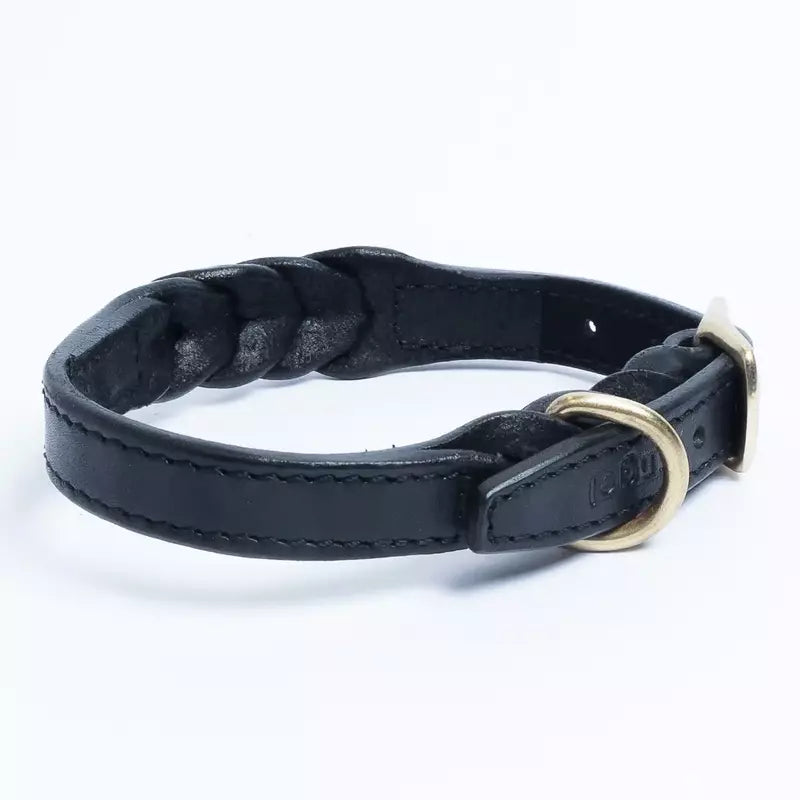 Angel - Dog - Leather Braided Collar Black