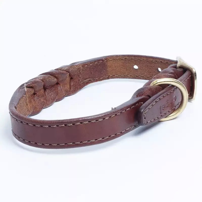 Angel - Dog - Leather Braided Collar Brown