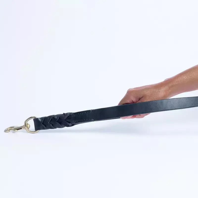 Angel - Dog - Leather Braided Leash DBL Handle Black