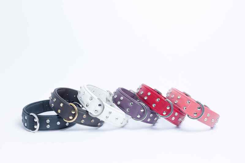 Angel - Dog - Athens Collar Rhinestone Ivory White