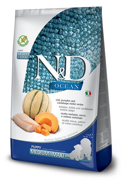 Farmina - Dog - N&D Ocean Puppy Large Breed Grain Free Cod, Pumpkin & Cantaloupe Recipe