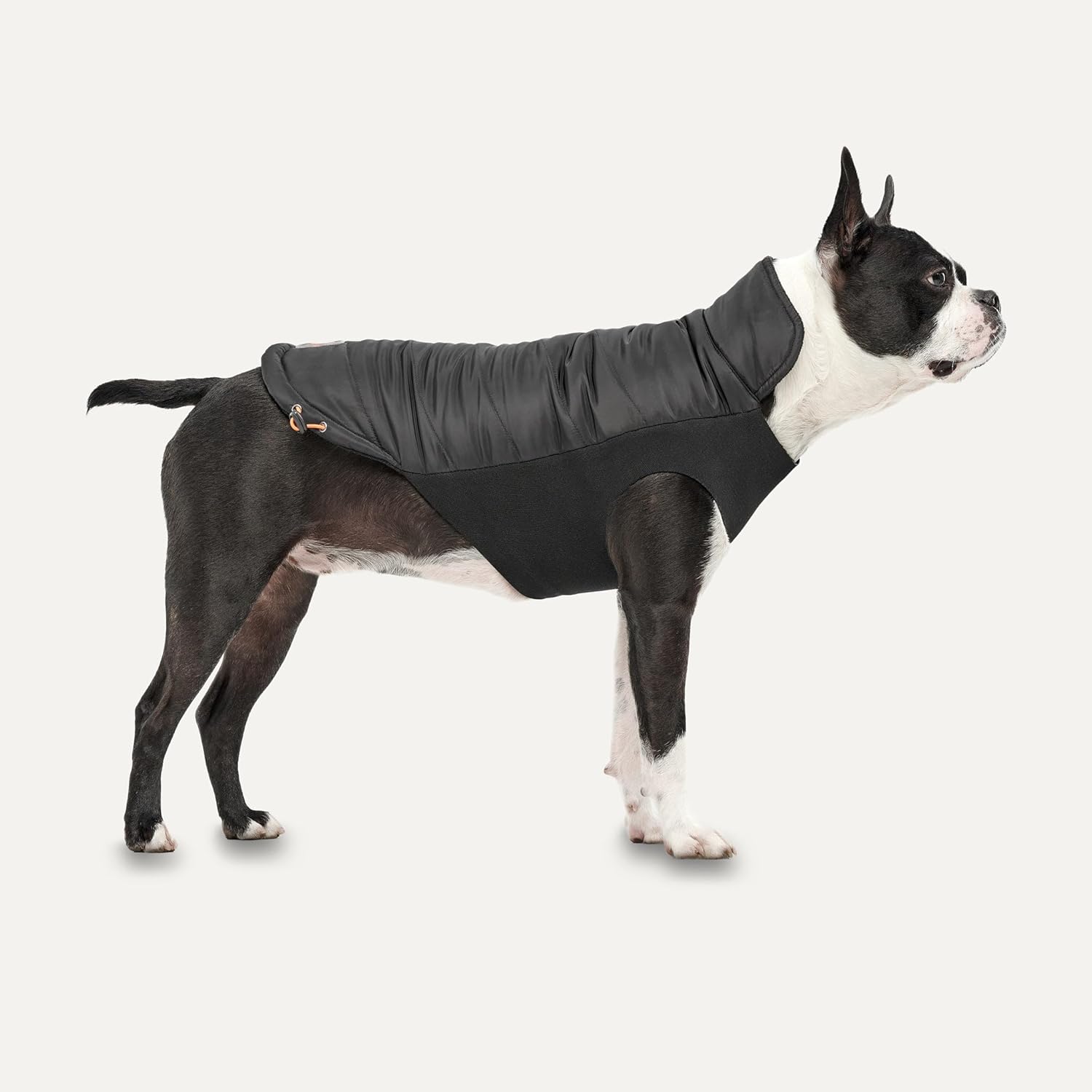 Goo-eez - Dog - Mock Neck Signature Jacket Black