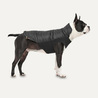 Goo-eez - Dog - Mock Neck Signature Jacket Black