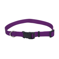 Tuff Buckle - Dog - Adjustable Nylon Collar Purple