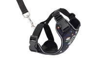 RC Pets - Cat - Adventure Kitty Harness Daisies