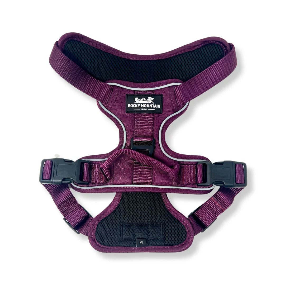 Rocky Mountain Dog - Dog - Harness Summit All Terrain Purple