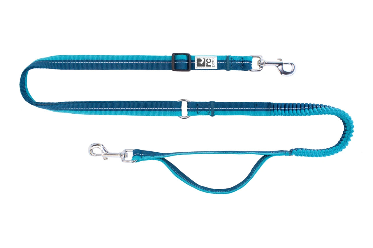 RC Pets - Dog - Bungee Active Leash Arctic Blue/Teal