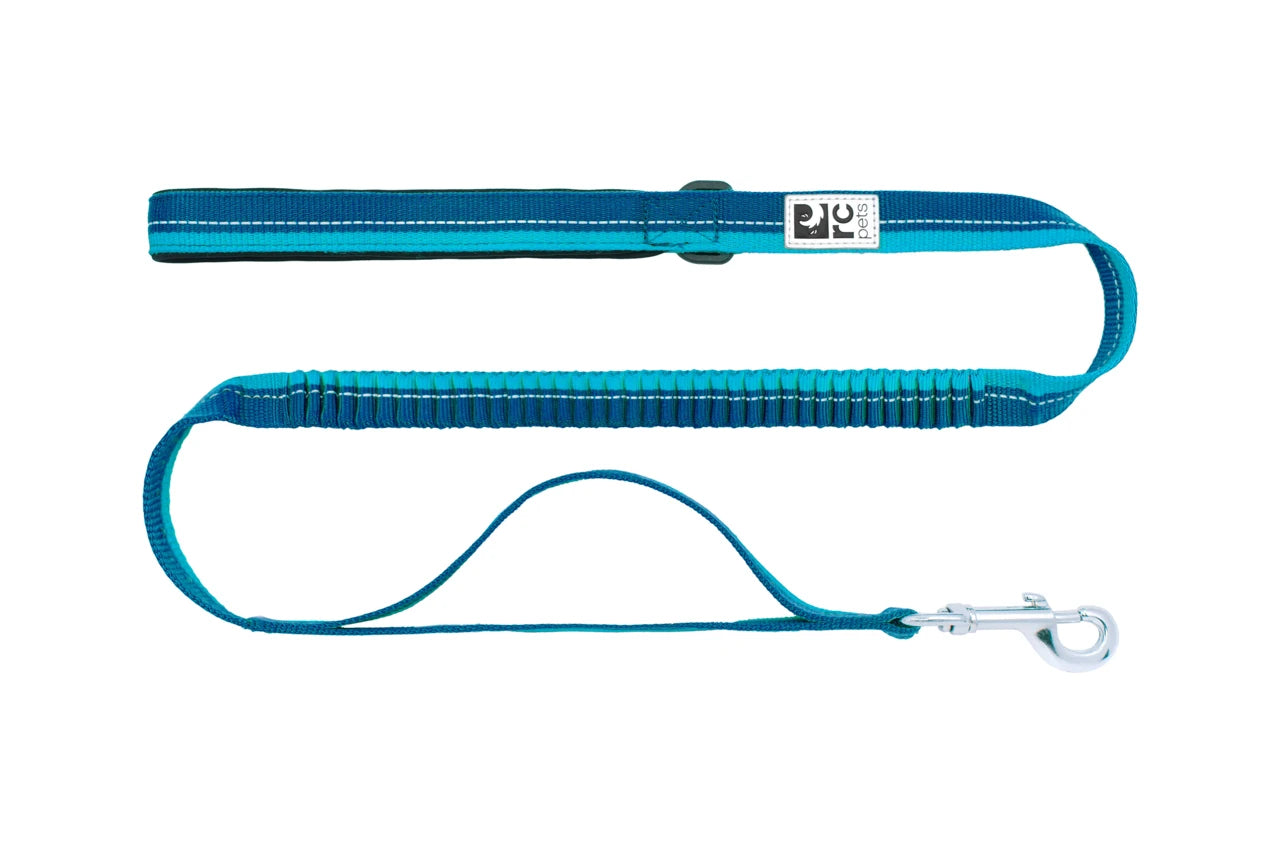 RC Pets - Dog - Bungee Traffic Leash Arctic Blue/Teal
