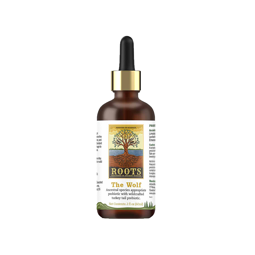 Adored Beast Apothecary - Dog - Turkey Tail Wolf Strain