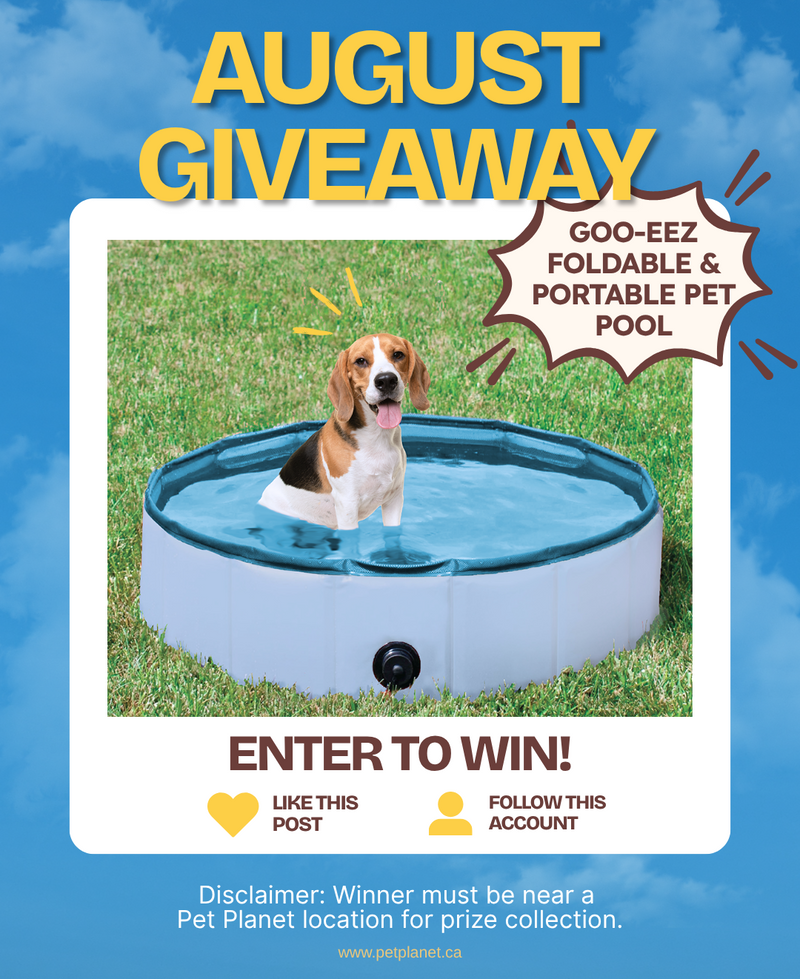 Goo-eez Contest (Online Only)