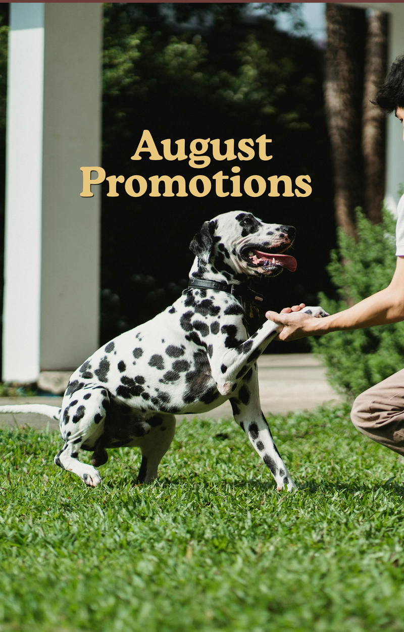Shop Pet Wellness Essentials