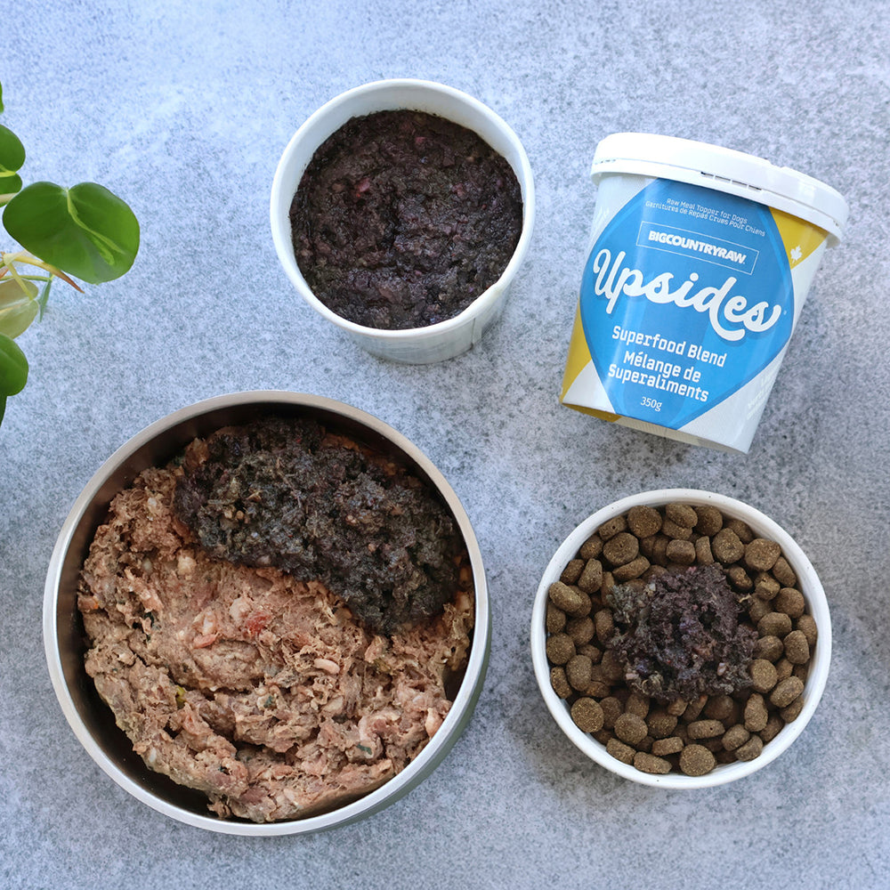 Big Country Raw - Dog - Upsides Meal Topper Superfood Blend