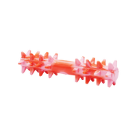 BüD'z - Dog - Rubber Toy Spike Stick Red and Pink