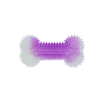 BüD'z - Dog - Rubber Toy Luminous Spiked Bone Purple