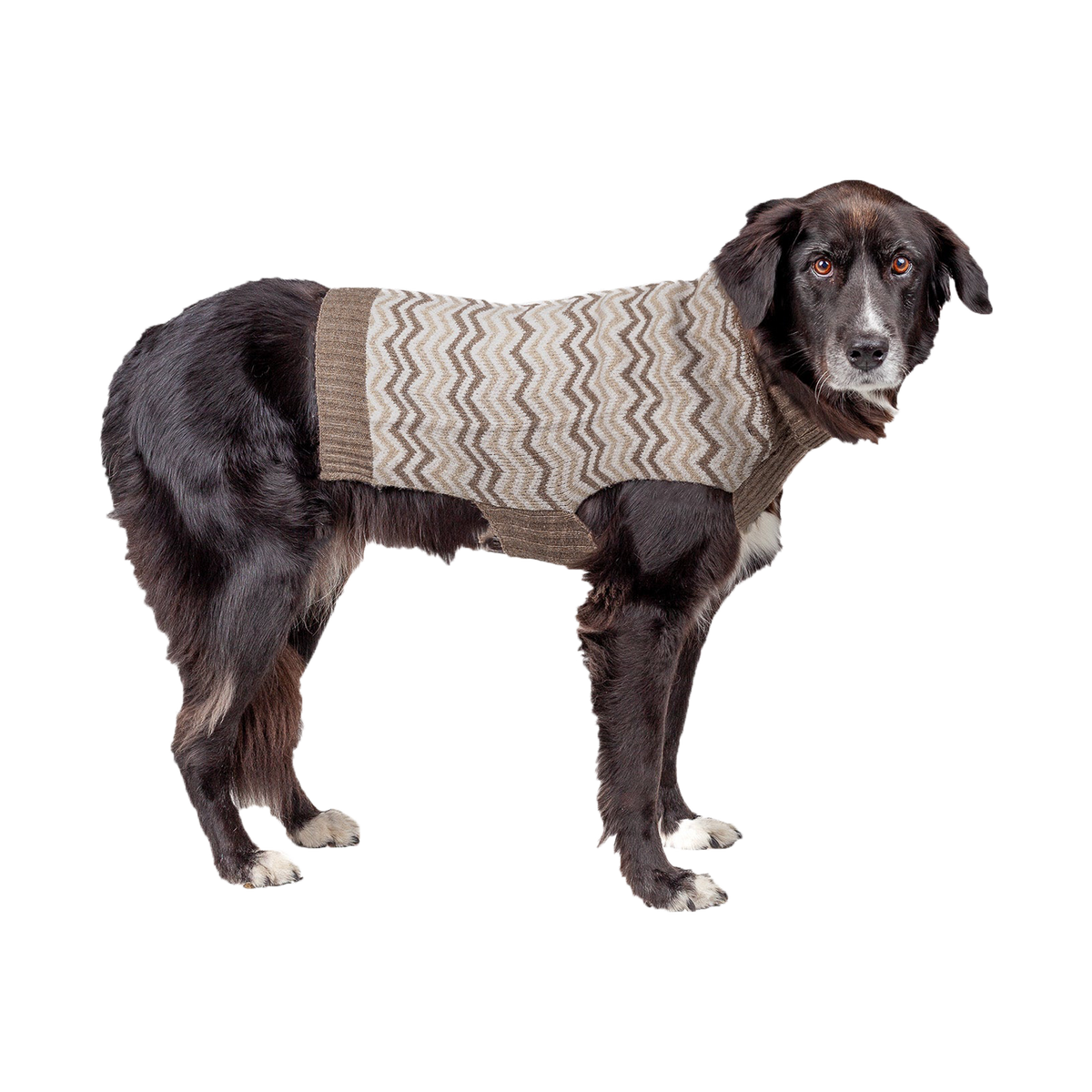 Silver Paw - Dog - Casey Chevron Sweater Beige