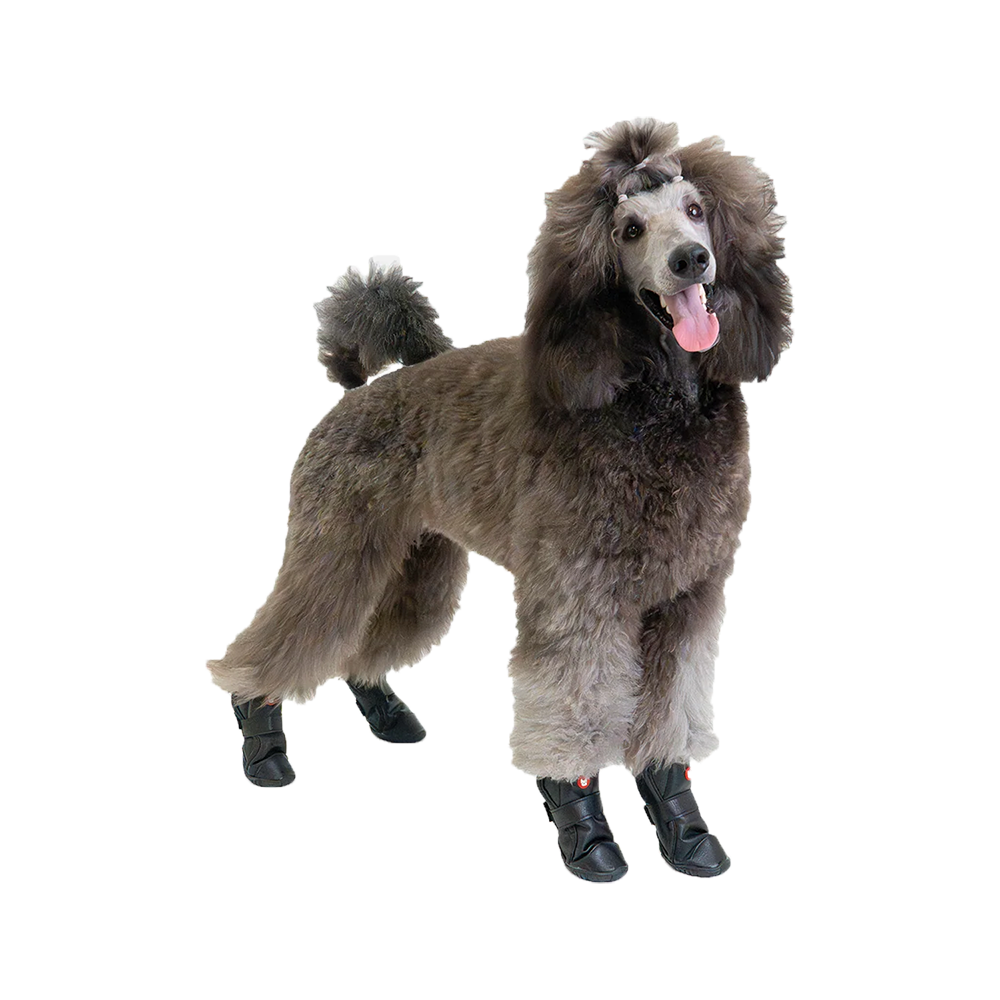 Silver Paw - Dog - Cedar Faux Leather Boots Black