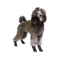 Silver Paw - Dog - Cedar Faux Leather Boots Black