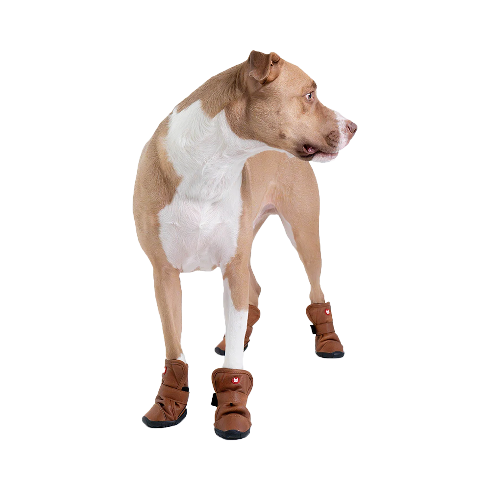 Silver Paw - Dog - Cedar Faux Leather Boots Tan