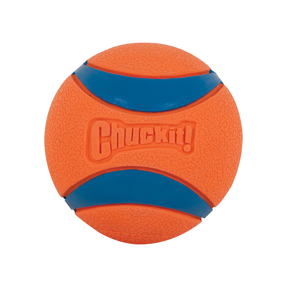 Chuckit! - Dog - Ultra Squeaker Ball