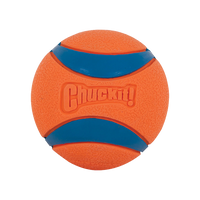 Chuckit! - Dog - Ultra Squeaker Ball