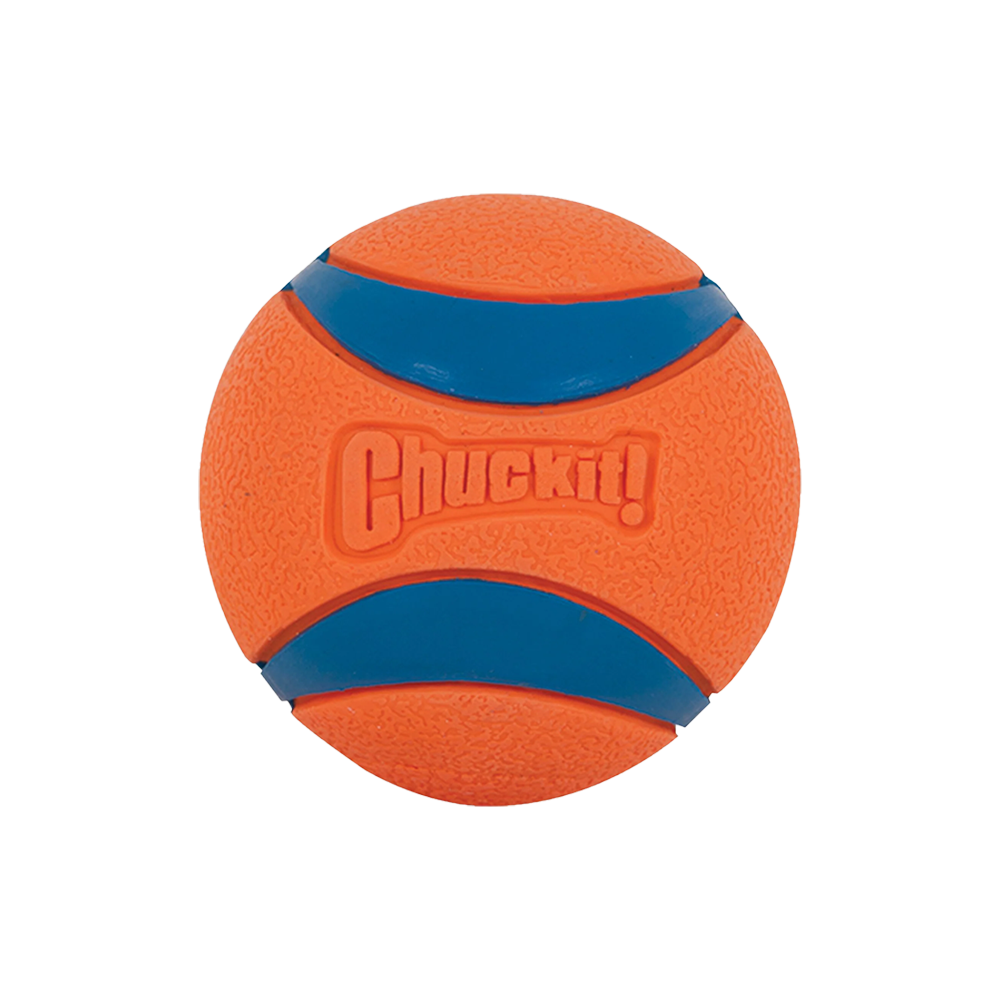 Chuckit! - Dog - Ultra Squeaker Ball