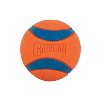 Chuckit! - Dog - Ultra Squeaker Ball