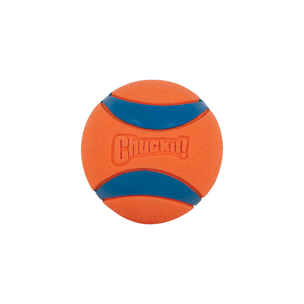 Chuckit! - Dog - Ultra Squeaker Ball