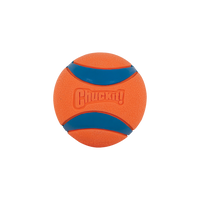 Chuckit! - Dog - Ultra Squeaker Ball