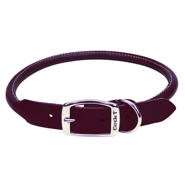 Circle T - Dog - Leather Round Collar Latigo