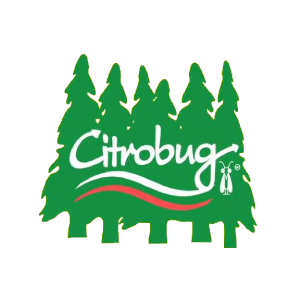 Citrobug