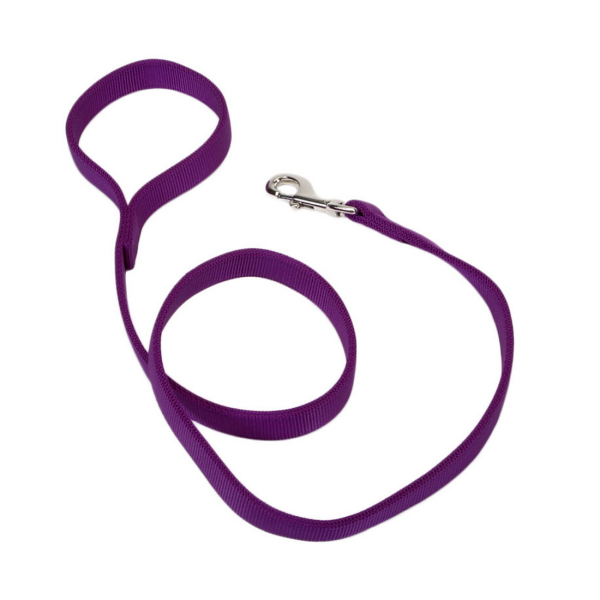 Coastal - Dog - DoublePly Nylon Leash Purple