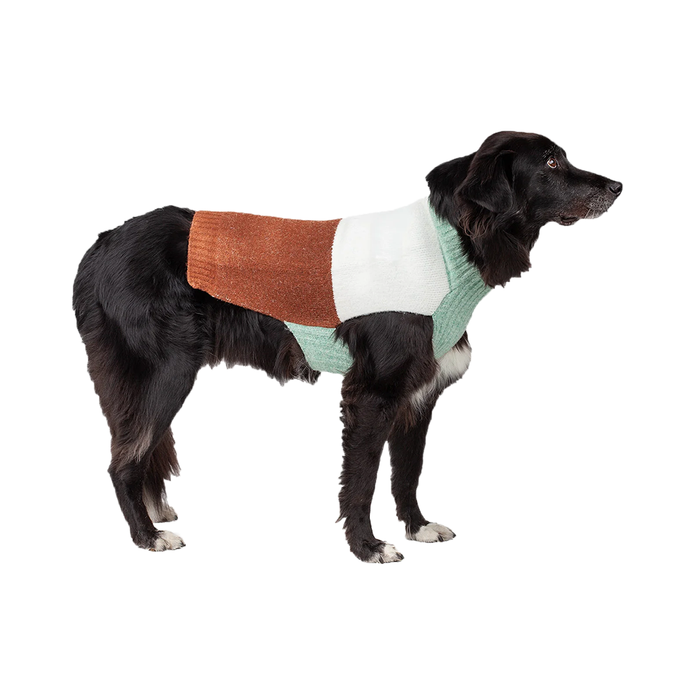 Silver Paw - Dog - Ellis Colour Block Sweater Mint