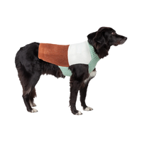 Silver Paw - Dog - Ellis Colour Block Sweater Mint