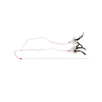 PURRfect - Cat - Teaser & Wands Feather