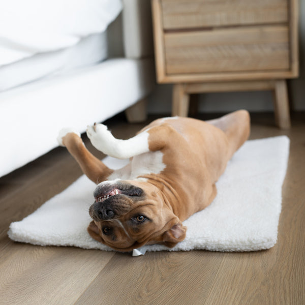 Unleashed - Dog - Flop Sherpa Flat Mat Natural