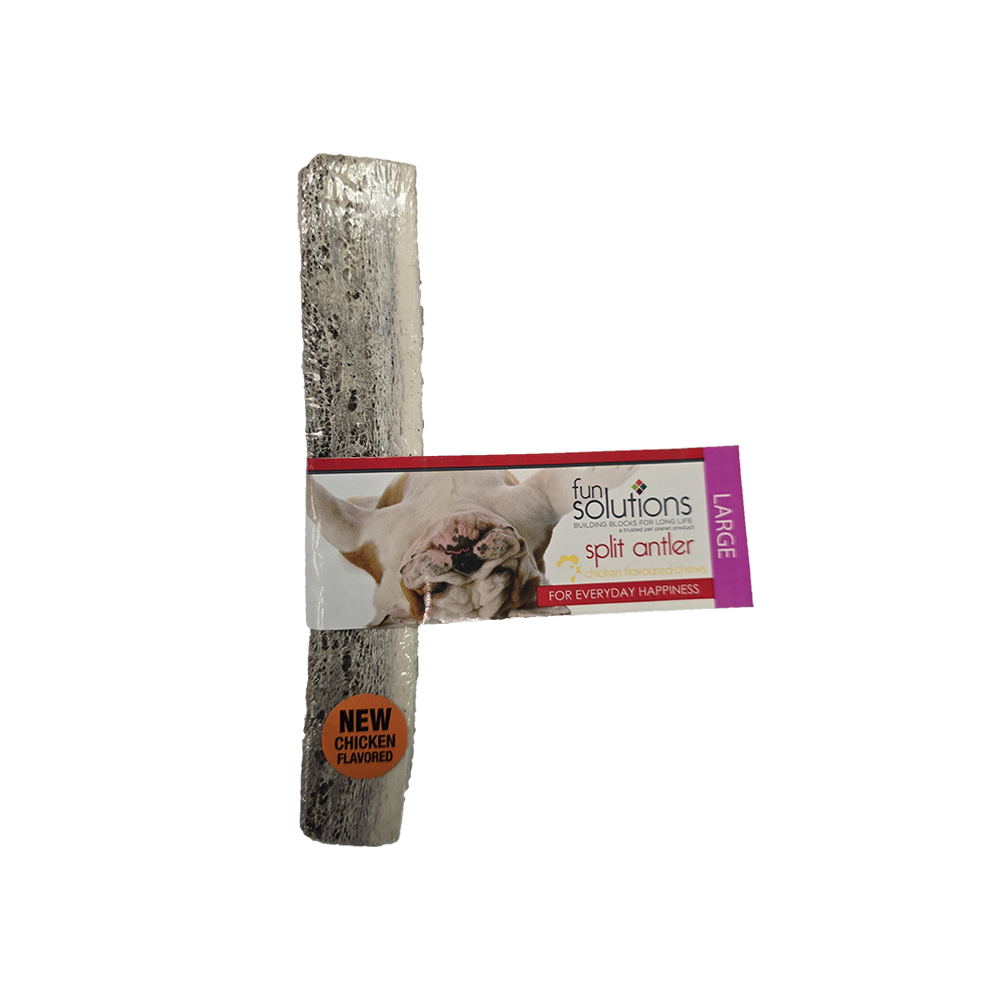Fun Solutions - Dog - Split Antler - Elk with Chicken Flavor