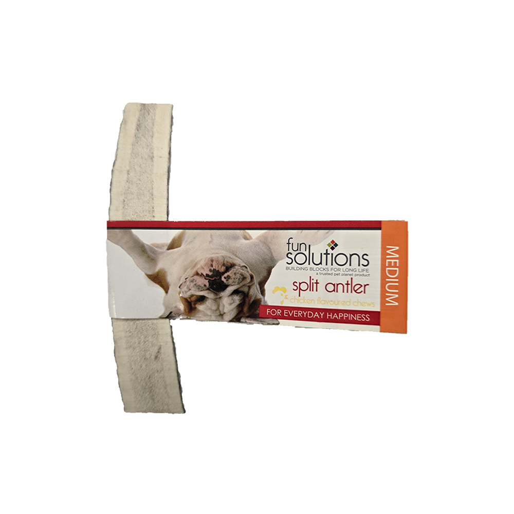 Fun Solutions - Dog - Split Antler - Elk with Chicken Flavor