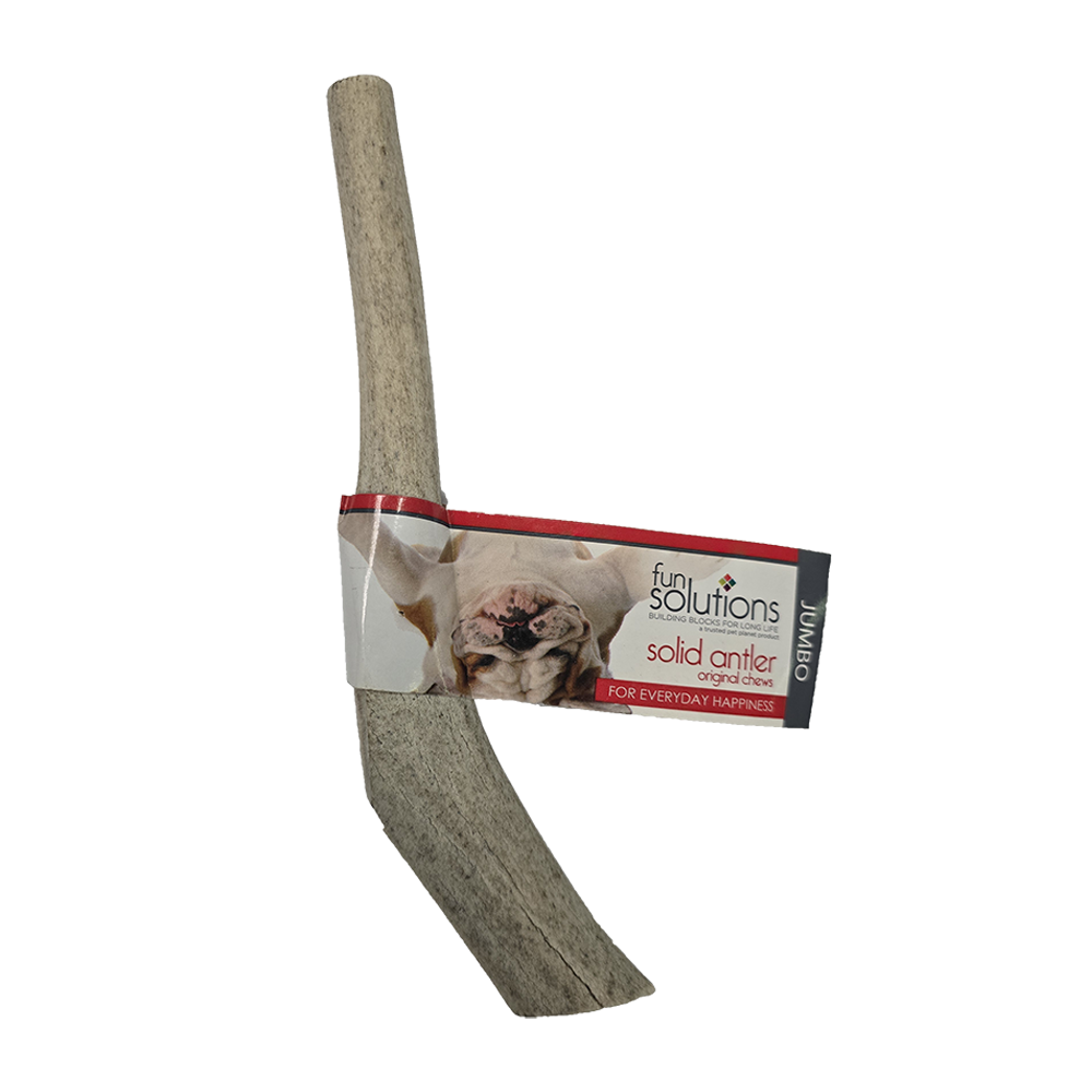Fun Solutions - Dog - Whole Antler - Elk