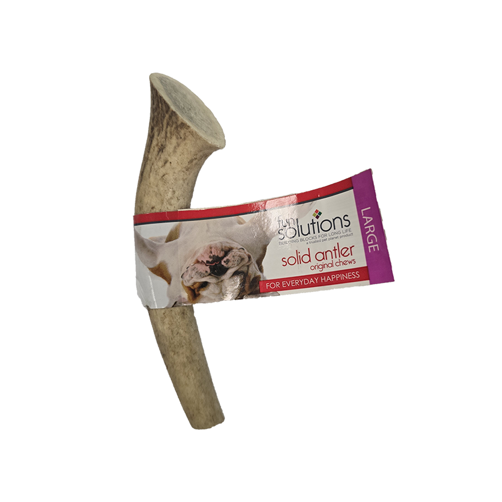 Fun Solutions - Dog - Whole Antler - Elk