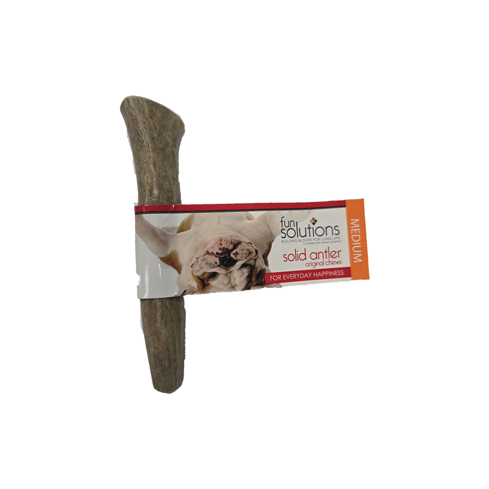Fun Solutions - Dog - Whole Antler - Elk